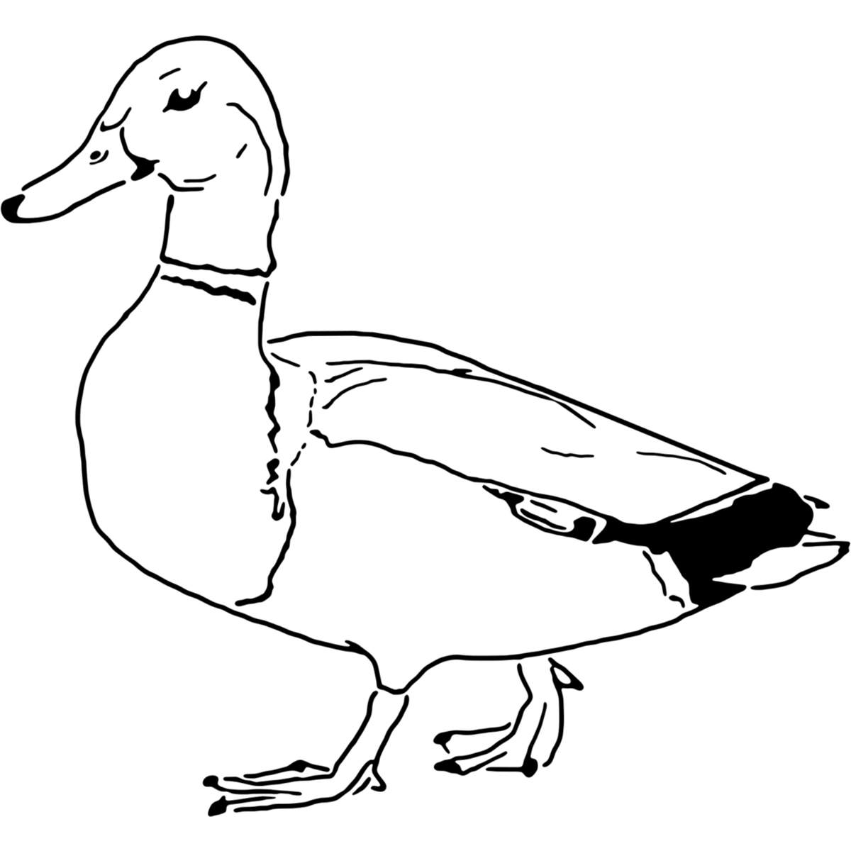 'Mallard Duck' Reusable Stencils – Durable Decorative Templates for Painting and Spraying on Walls, Tiles, Wood, Fabric & Craft Projects (WS028471)