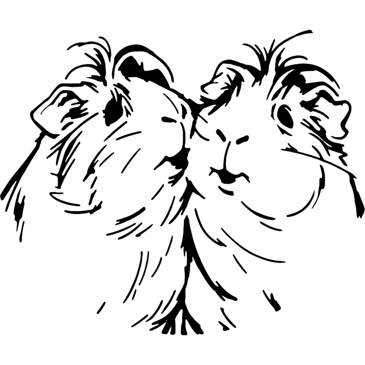 'Guinea Pig Couple' Reusable Wall Stencil - Decorative Template for Walls, Tiles, Wood, Fabric and Crafts (WS057546)