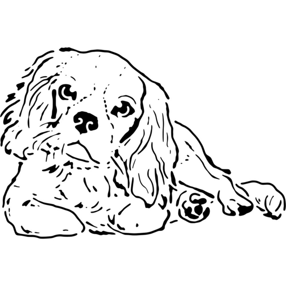 'Cavalier King Charles Spaniel' Wall Stencils / Templates (WS030981) - Picture 3 of 6