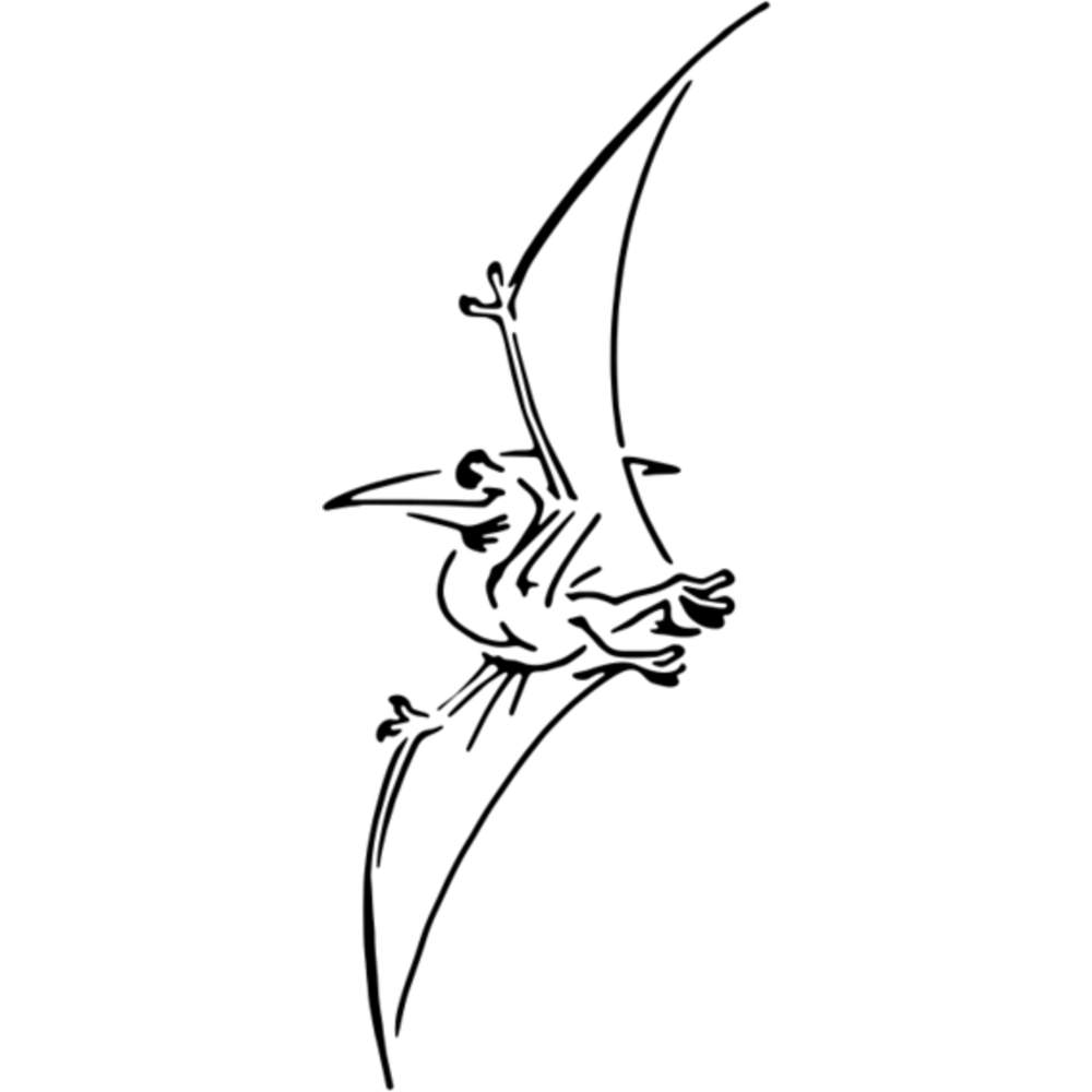 Pterodáctilo Dinosaurio 'pared Stencils/plantillas (WS002673) | eBay