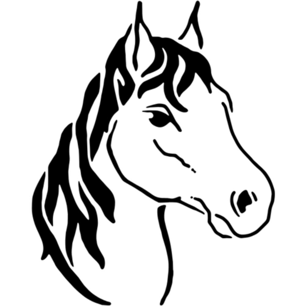 'Horse's Face' Wall Stencils / Templates (WS002176) eBay