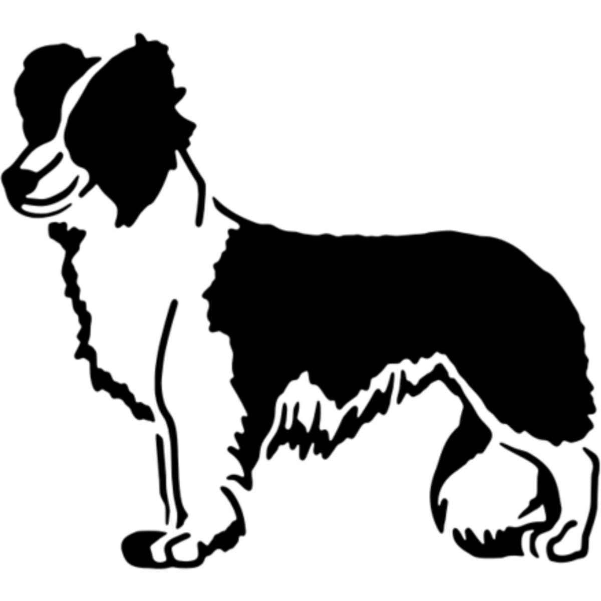 'Border Collie' Reusable Stencil – Durable Decorative Template for Painting and Spraying on Walls, Tiles, Wood, Fabric & Craft Projects - M (A5) (WS00010823)