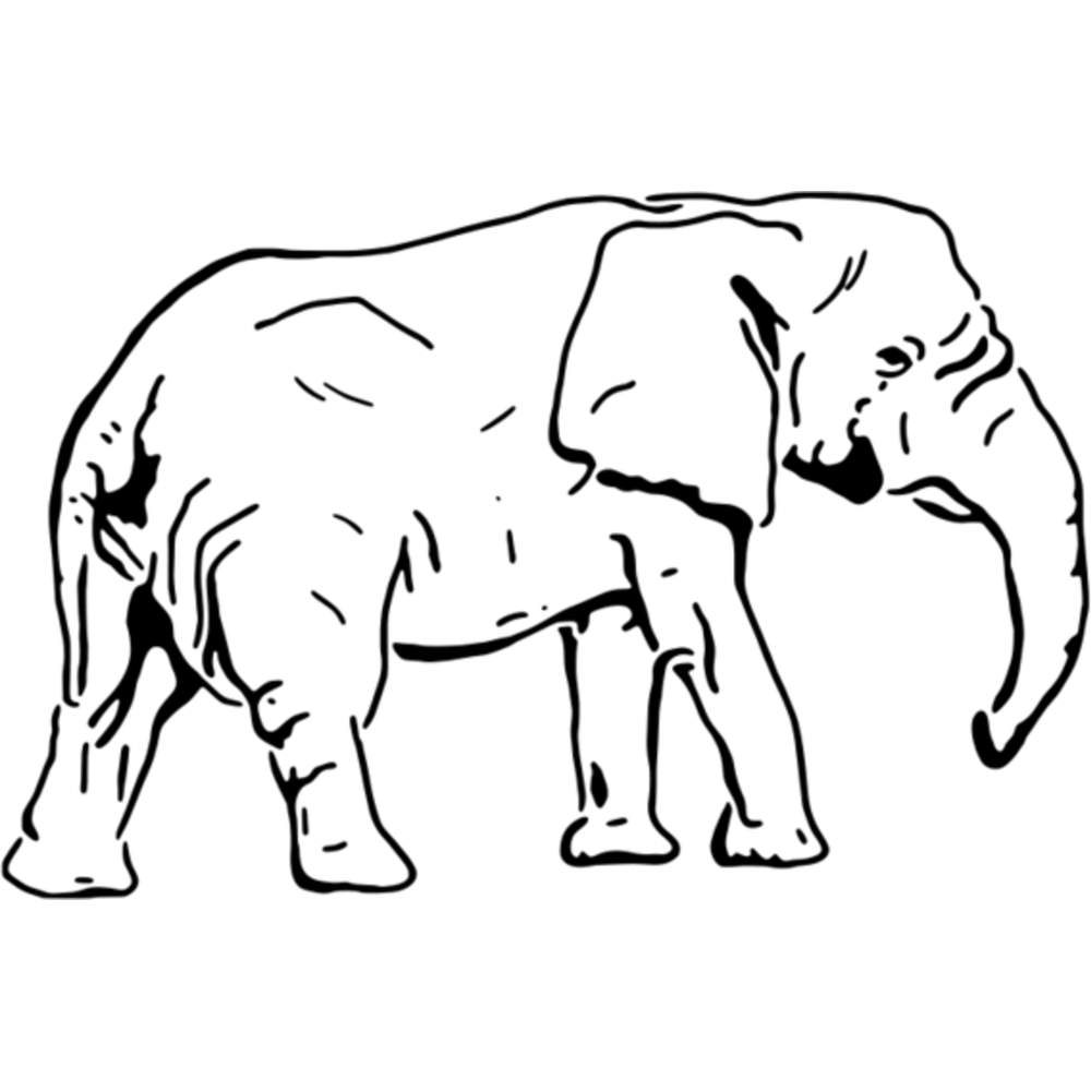 Walking Elephant' Wall Stencils / Templates (WS011338) | eBay