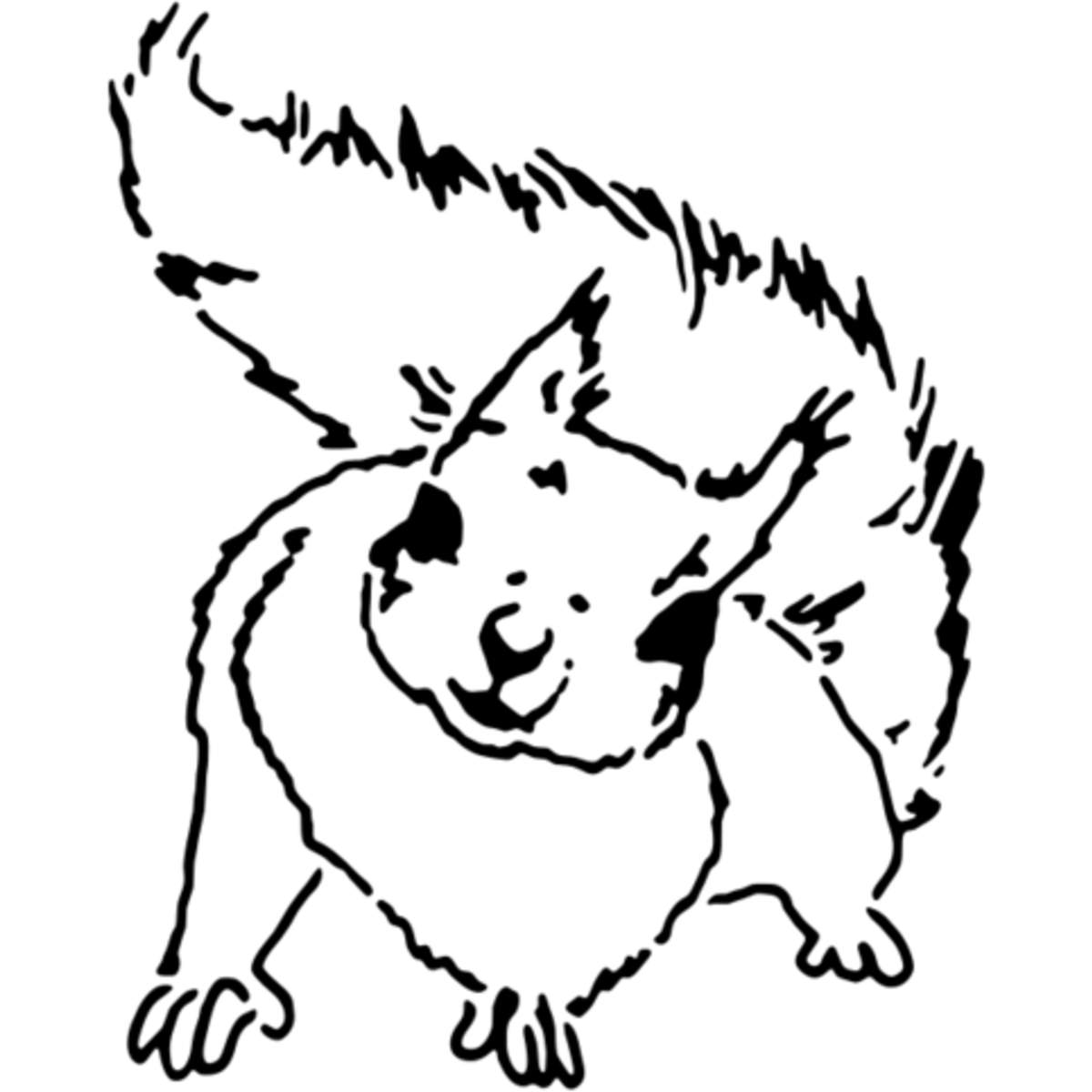 'Curious Squirrel' Reusable Stencil – Durable Decorative Template for Painting and Spraying on Walls, Tiles, Wood, Fabric & Craft Projects - M (A5) (WS00020068)