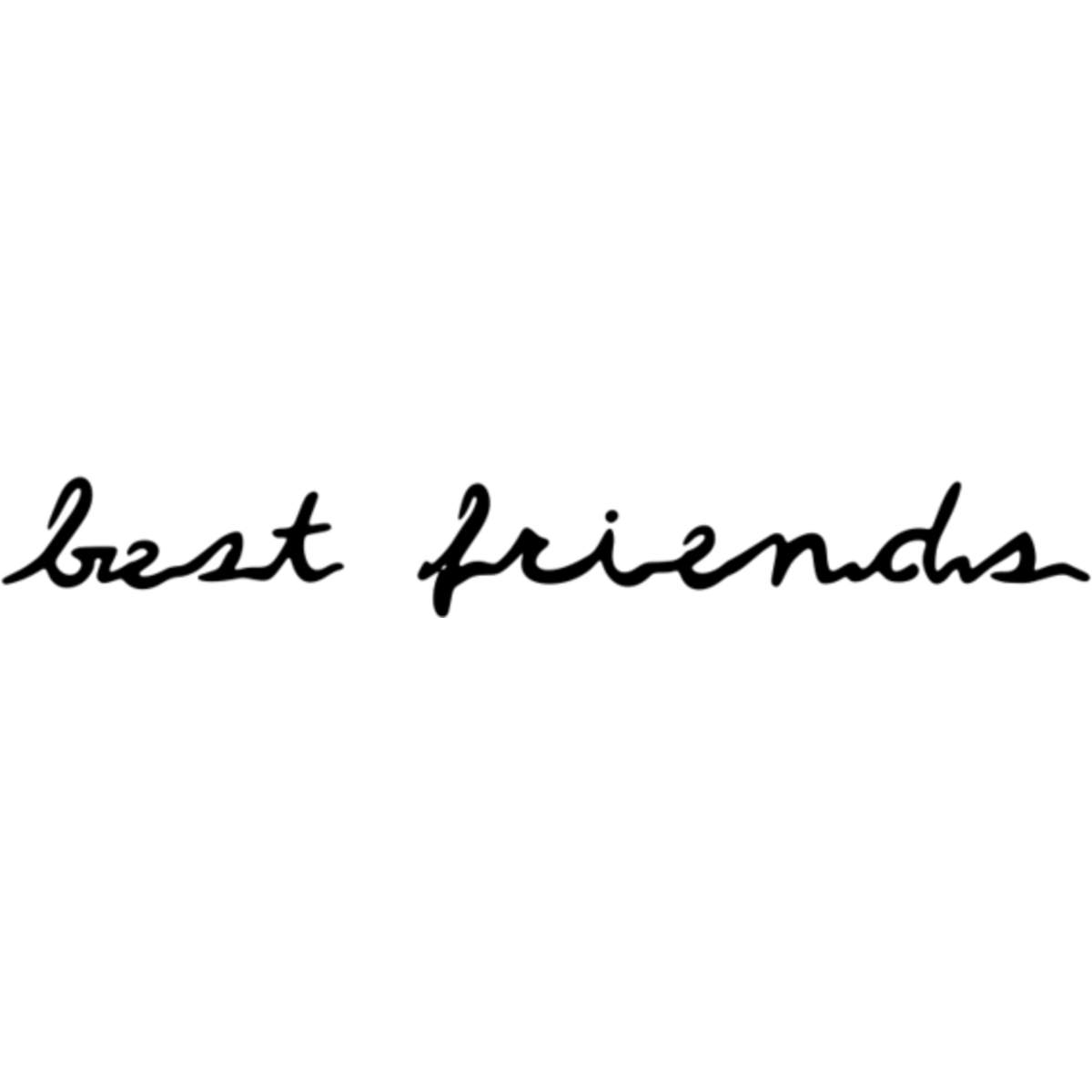 'Best Friends' Reusable Stencil – Durable Decorative Template for Painting and Spraying on Walls, Tiles, Wood, Fabric & Craft Projects - M (A5) (WS00020792)