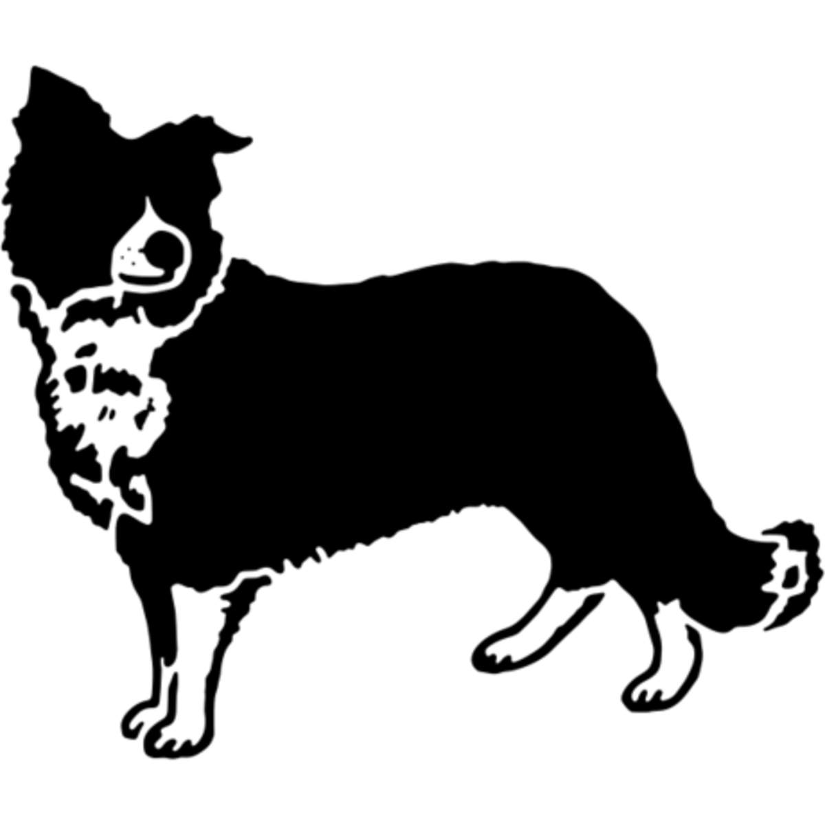 'Border Collie Sheepdog' Reusable Wall Stencil - M (A5) - Painting Template for Walls, Tiles, Wood, Fabric and Crafts (WS00025556)