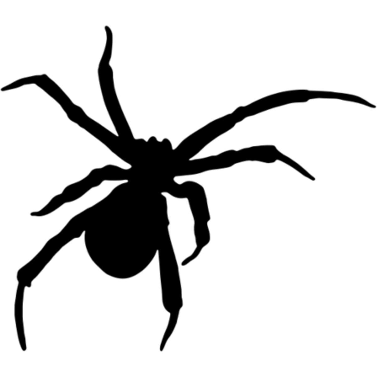 'Creepy Spider' Reusable Stencil – Durable Decorative Template for Painting and Spraying on Walls, Tiles, Wood, Fabric & Craft Projects - M (A5) (WS00028368)