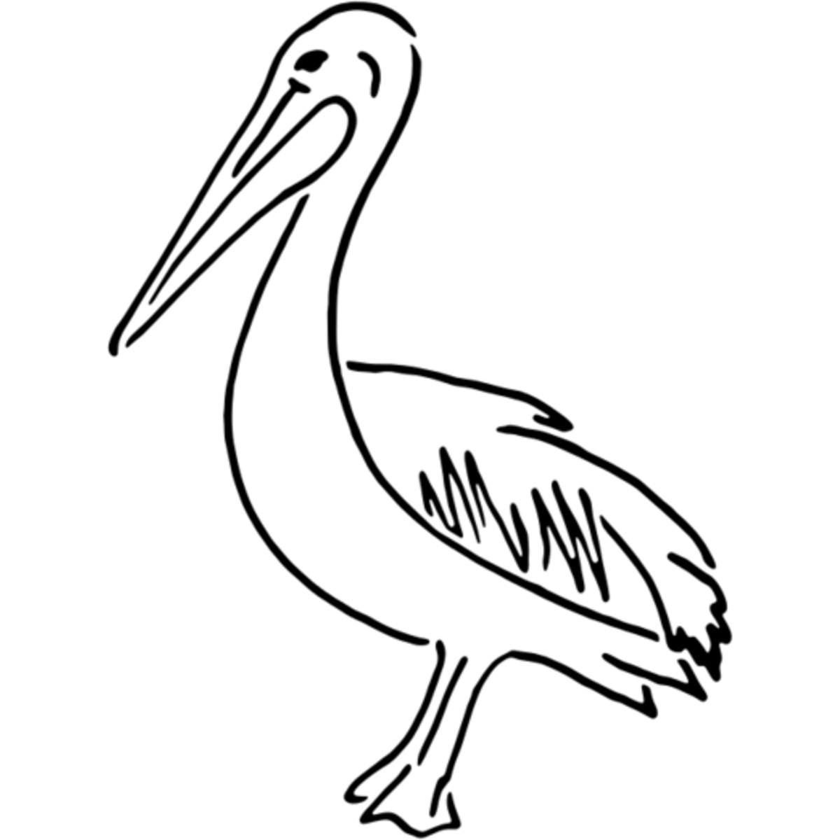 'Pelican' Reusable Wall Stencil - M (A5) - Painting Template for Walls, Tiles, Wood, Fabric and Crafts (WS00037540)