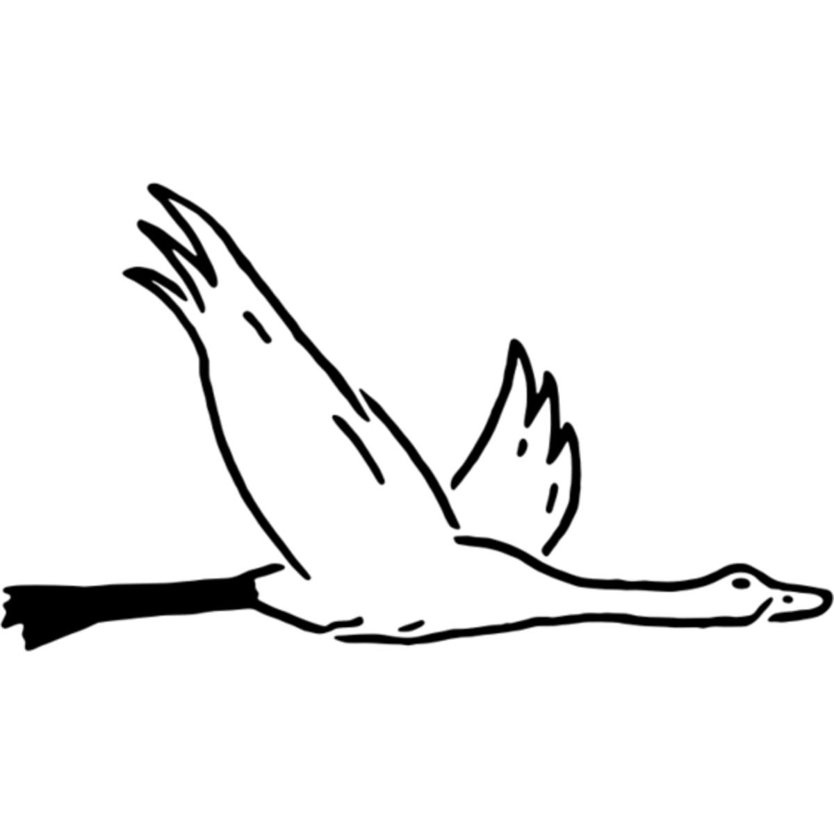 'Flying Goose' Reusable Stencil – Durable Decorative Template for Painting and Spraying on Walls, Tiles, Wood, Fabric & Craft Projects - M (A5) (WS00040446)