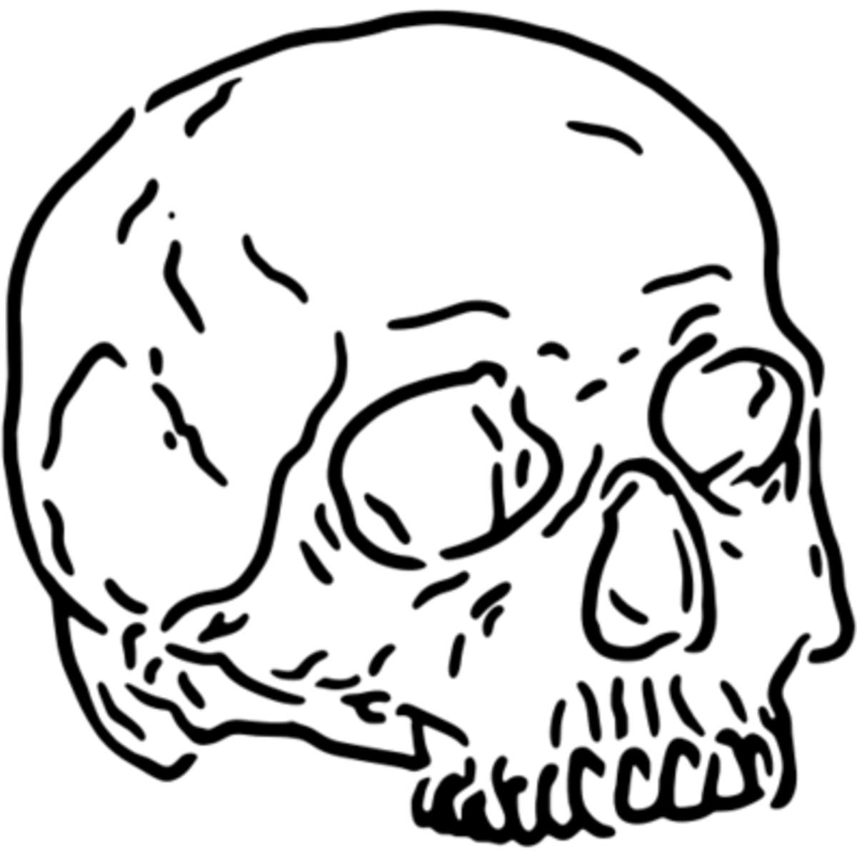 'Human Skull' Reusable Stencil – Durable Decorative Template for Painting and Spraying on Walls, Tiles, Wood, Fabric & Craft Projects - M (A5) (WS00043082)