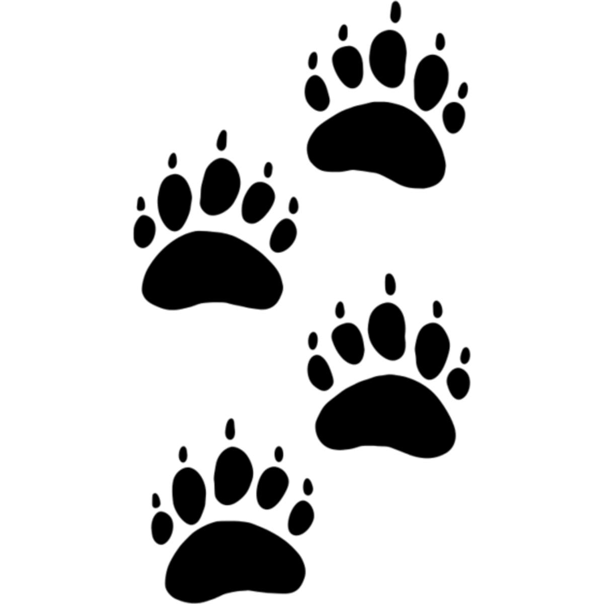 'Bear Prints' Reusable Stencil – Durable Decorative Template for Painting and Spraying on Walls, Tiles, Wood, Fabric & Craft Projects - M (A5) (WS00044062)