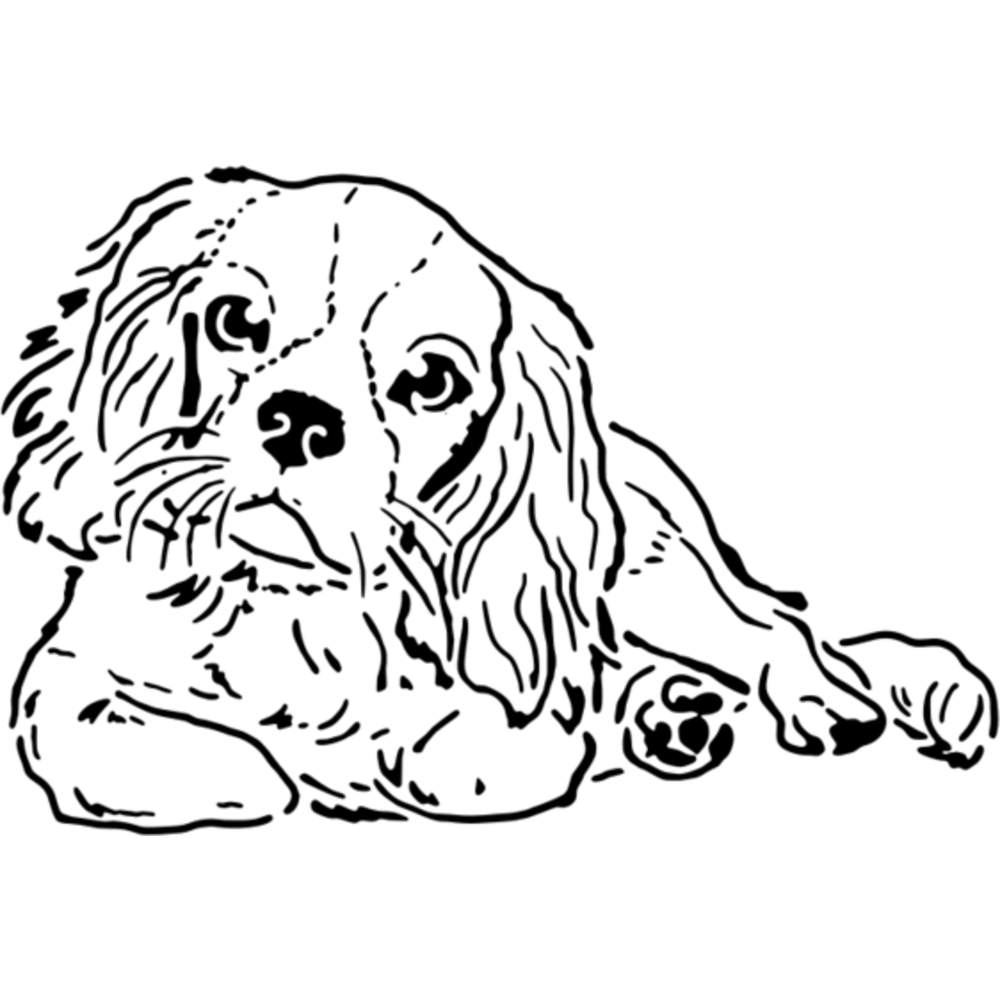 'Cavalier King Charles Spaniel' Wall Stencils / Templates (WS030981) - Picture 5 of 6