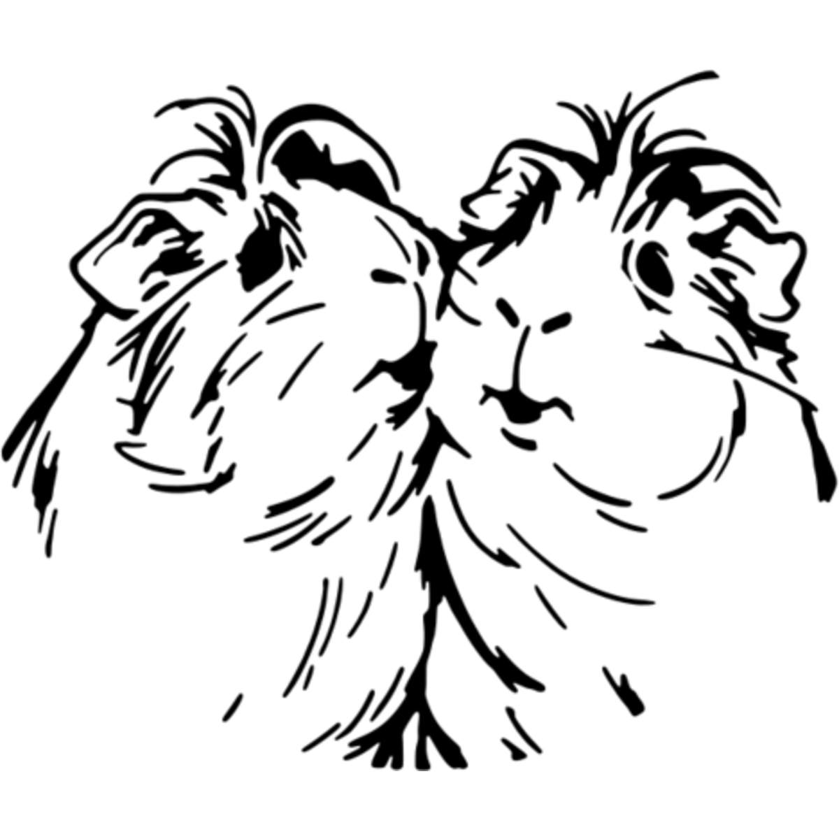 'Guinea Pig Couple' Reusable Wall Stencil - M (A5) - Painting Template for Walls, Tiles, Wood, Fabric and Crafts (WS00063364)