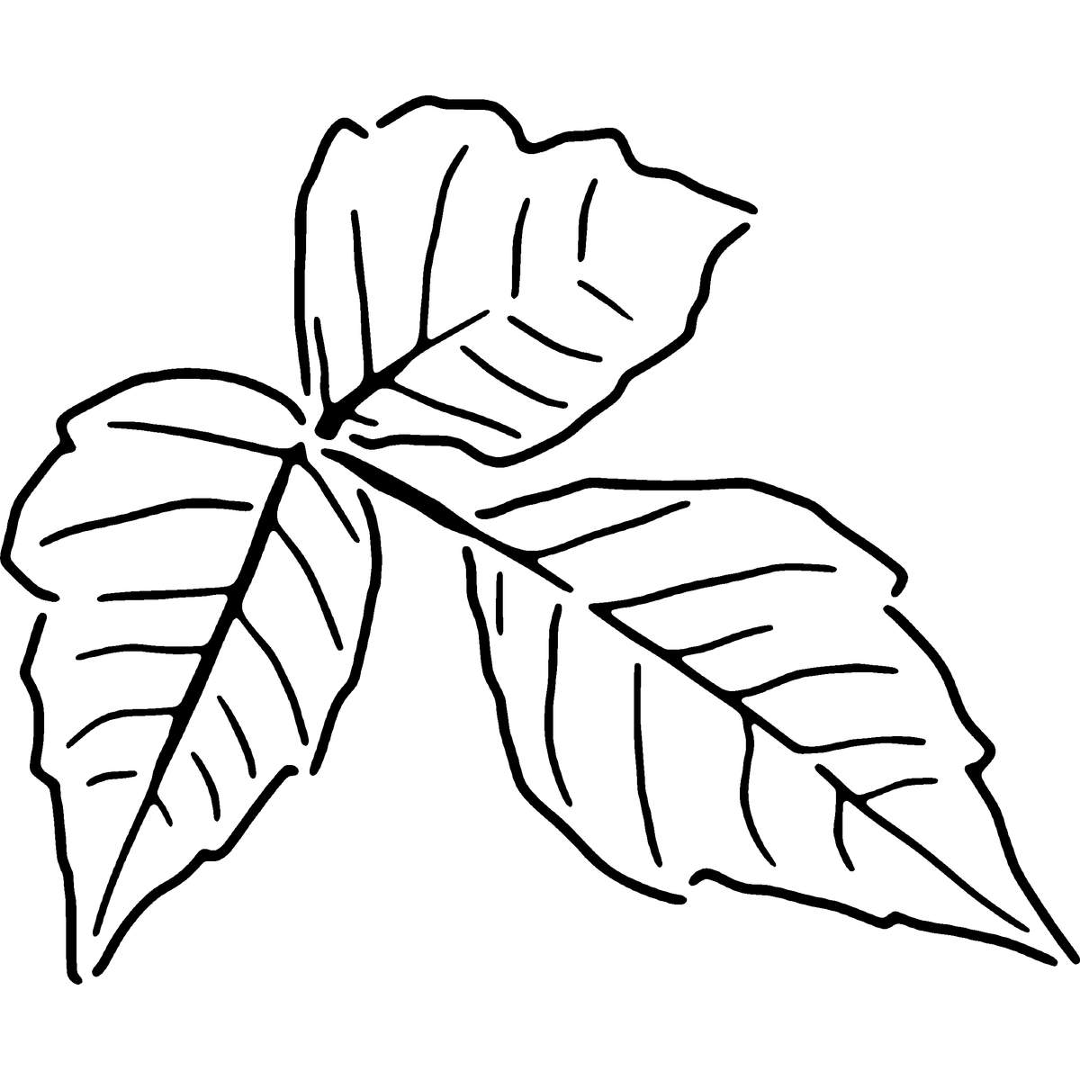 'Poison Ivy' Reusable Stencil – Durable Decorative Template for Painting and Spraying on Walls, Tiles, Wood, Fabric & Craft Projects - S (A6) (WS00067977)