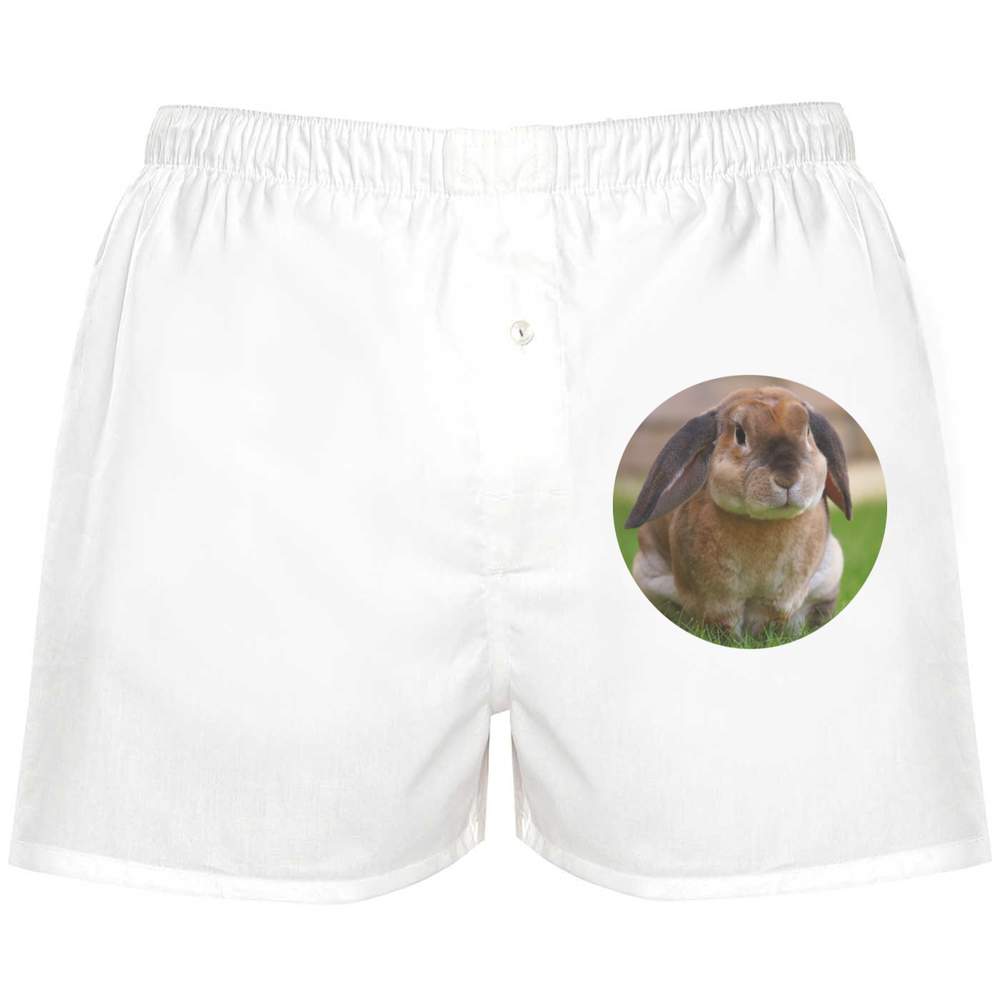 Recommended 'Rabbit' Boxer Shorts BX030218 Underwear NEW before selling