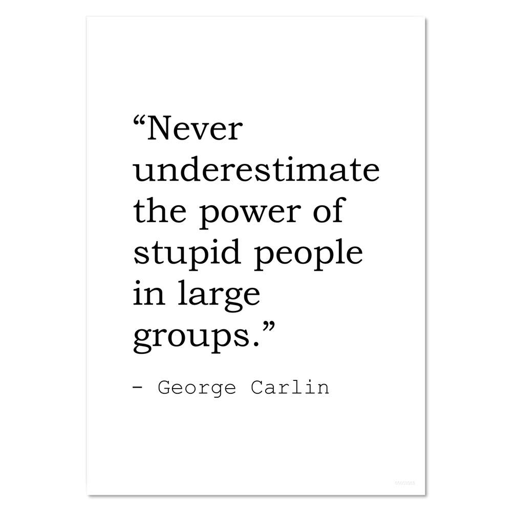 Funny George Carlin Quote Wall Posters / Prints (PP335169) | eBay